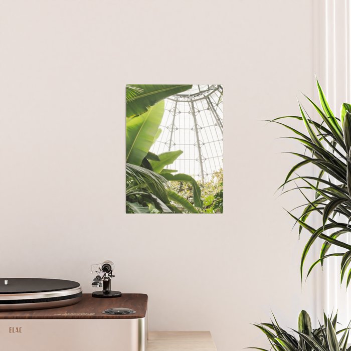 Tropical Greenhouse #1 Poster Gallery Image 2
