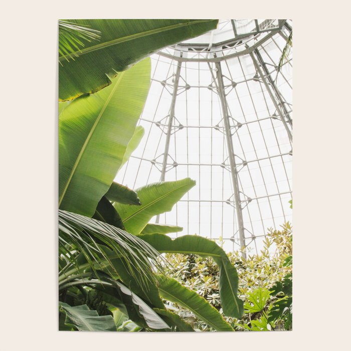 Tropical Greenhouse #1 Poster Gallery Image 4