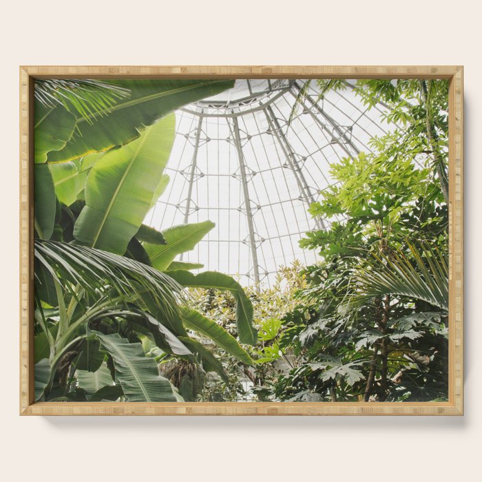 Tropical Greenhouse #1 Serving Tray Gallery Image 1