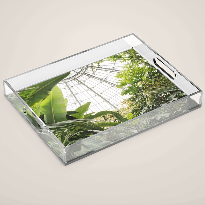 Tropical Greenhouse #1 Acrylic Tray Gallery Image 1