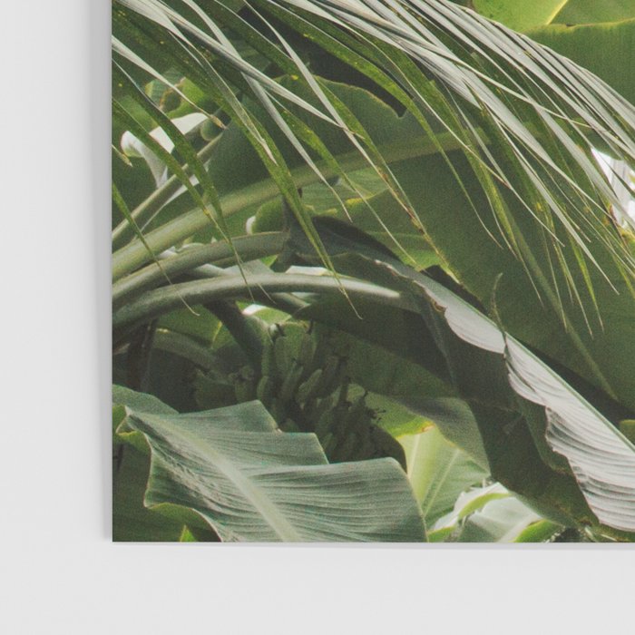 Tropical Greenhouse #1 Poster Gallery Image 3