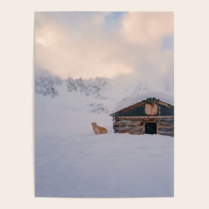 Cabin Life Enzo Poster Gallery Image 4