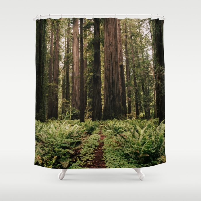 Redwood Trail Shower Curtain Gallery Image 1