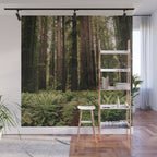 Redwood Trail Wall Mural Gallery Image 1