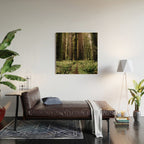 Redwood Trail Wood Wall Art Gallery Image 2