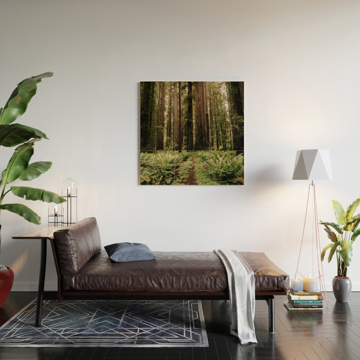 Redwood Trail Wood Wall Art Gallery Image 2
