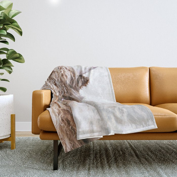 HIGHLAND CATTLE LULU Throw Blanket Gallery Image 1