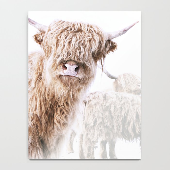 HIGHLAND CATTLE LULU Notebook Gallery Image 4