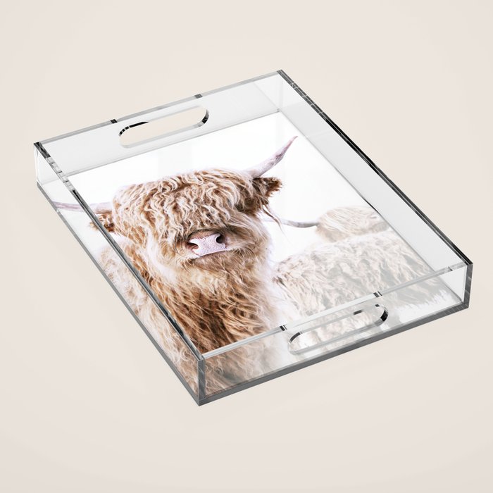 HIGHLAND CATTLE LULU Acrylic Tray Gallery Image 1