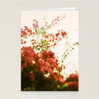 Bougainvillea Morning Stationery Card Gallery Image 2