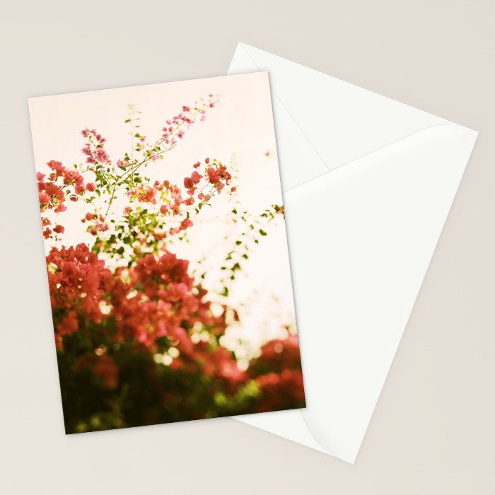 Bougainvillea Morning Stationery Card Gallery Image 2