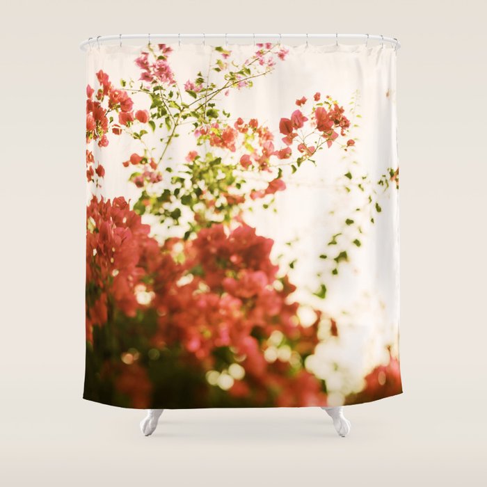 Bougainvillea Morning Shower Curtain Gallery Image 1
