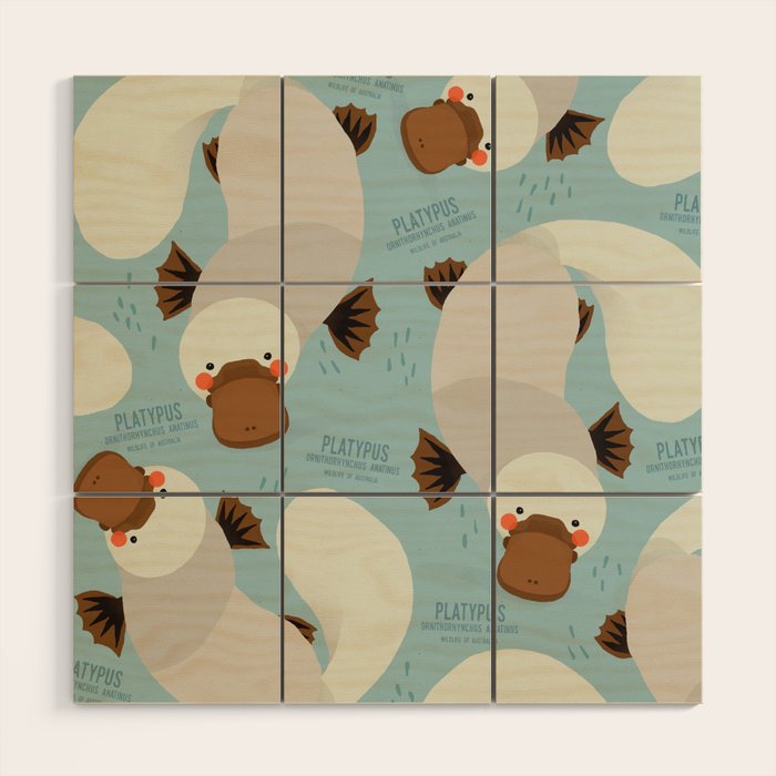 Platypus, Wildlife of Australia Wood Wall Art Gallery Image 1