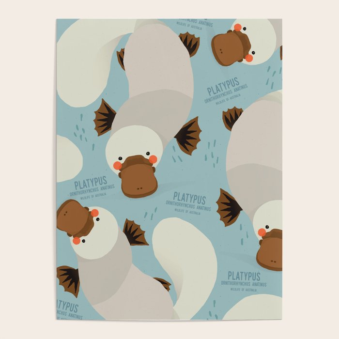 Platypus, Wildlife of Australia Poster Gallery Image 4