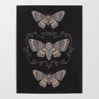 Taxidermy Death Moth at Midnight Poster Gallery Image 4