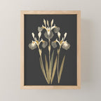 Irises Mini Art Print Gallery Image 1