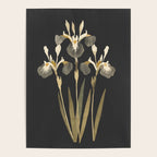Irises Poster Gallery Image 4