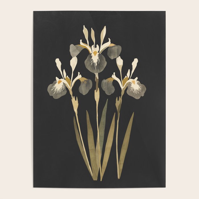 Irises Poster Gallery Image 4