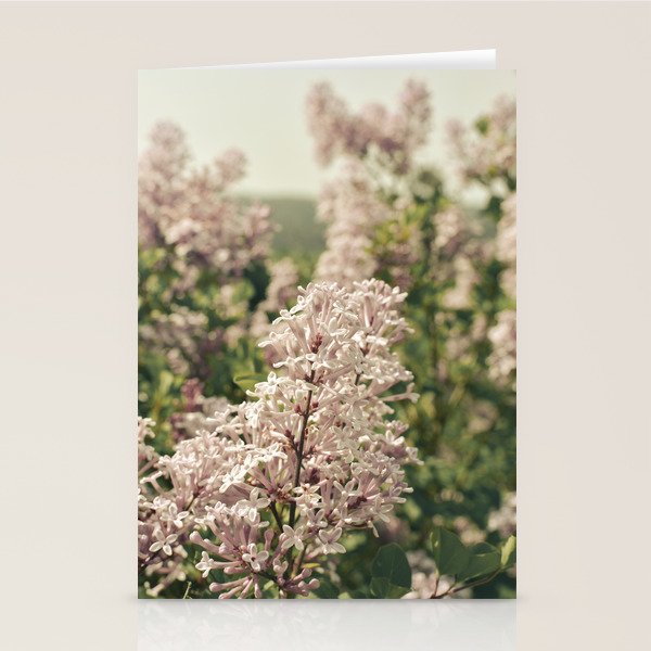 Lilac Flowers Botanical Photograph Stationery Card Gallery Image 1