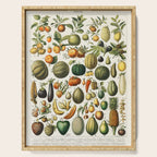 Vintage Scientific Illustration Fruits Botanical Floral Lithograph Encyclopaedia Diagrams  Serving Tray Gallery Image 1