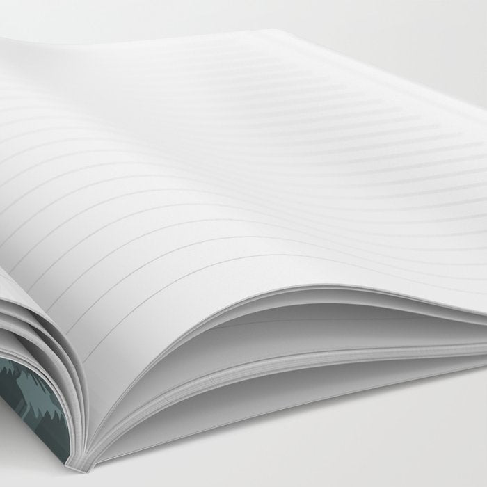 Mount Baker National Forest, Washington State, National Park Notebook Gallery Image 2