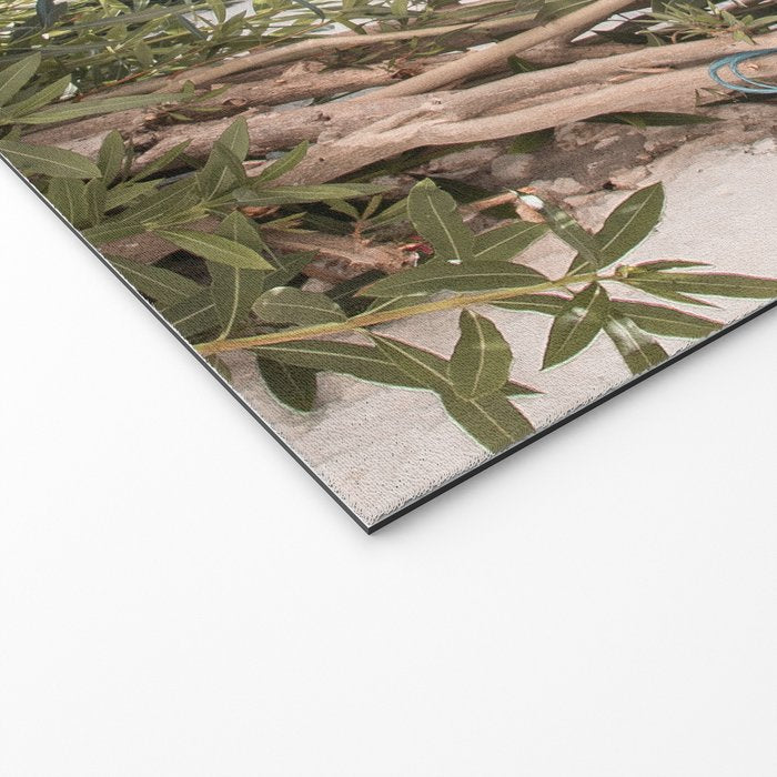 Greece Summer Scenery With Plants Photo | White Island Architecture Art Print | Europe Travel Photography Welcome Mat Gallery Image 2