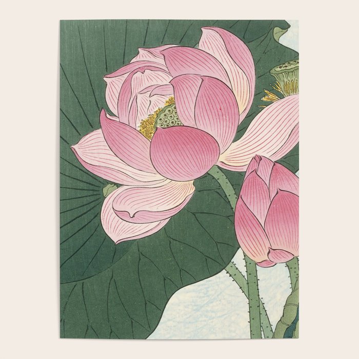 Flowering lotus flowers, Ohara Koson Poster Gallery Image 4