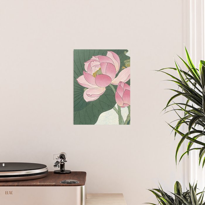 Flowering lotus flowers, Ohara Koson Poster Gallery Image 2