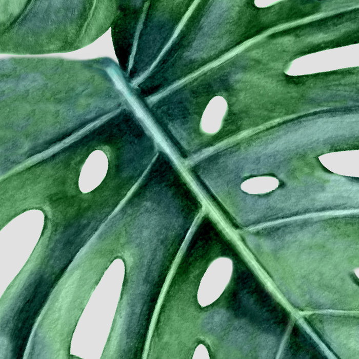 Monstera Coffee Mug Gallery Image 2