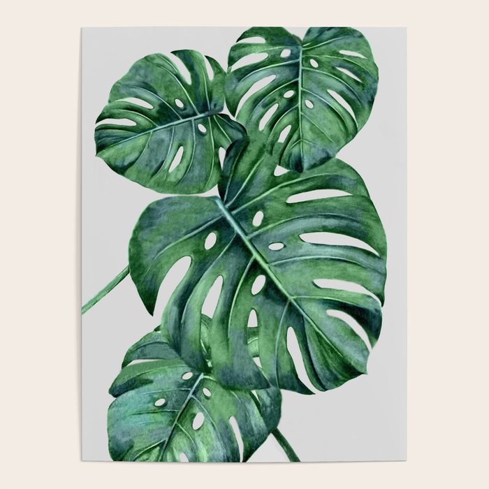 Monstera Poster Gallery Image 1