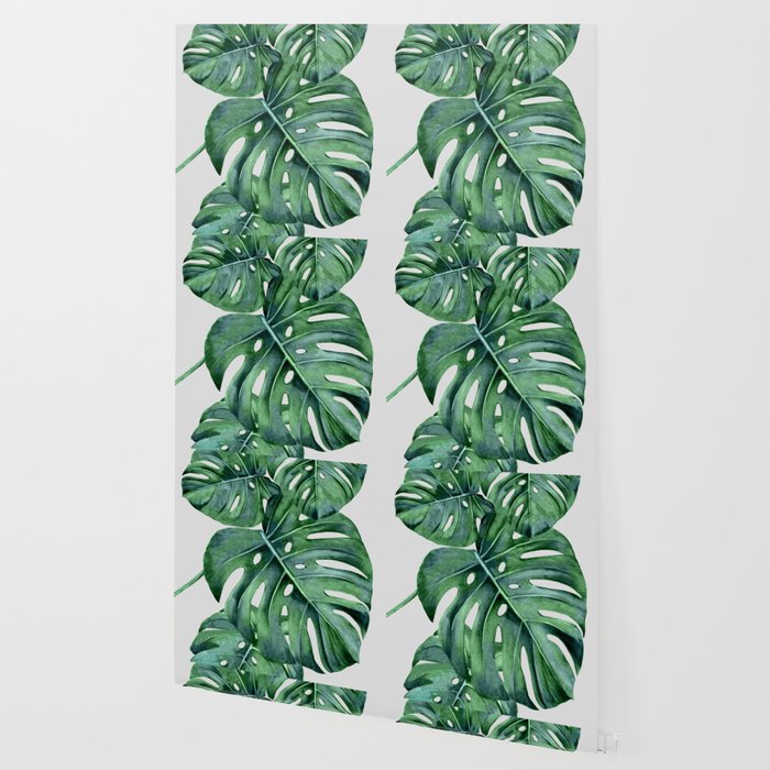 Monstera Wallpaper Gallery Image 2