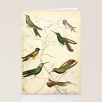 Hummingbirds from The Edinburgh Journal, 1835 (benefitting The Nature Conservancy) Stationery Card Gallery Image 2