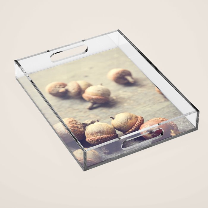 Autumn Acorns Acrylic Tray Gallery Image 1