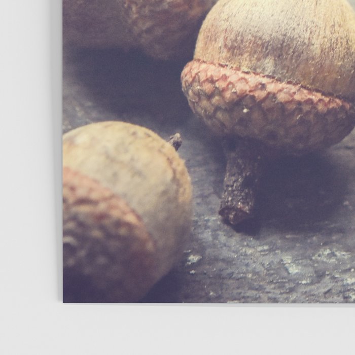 Autumn Acorns Poster Gallery Image 3