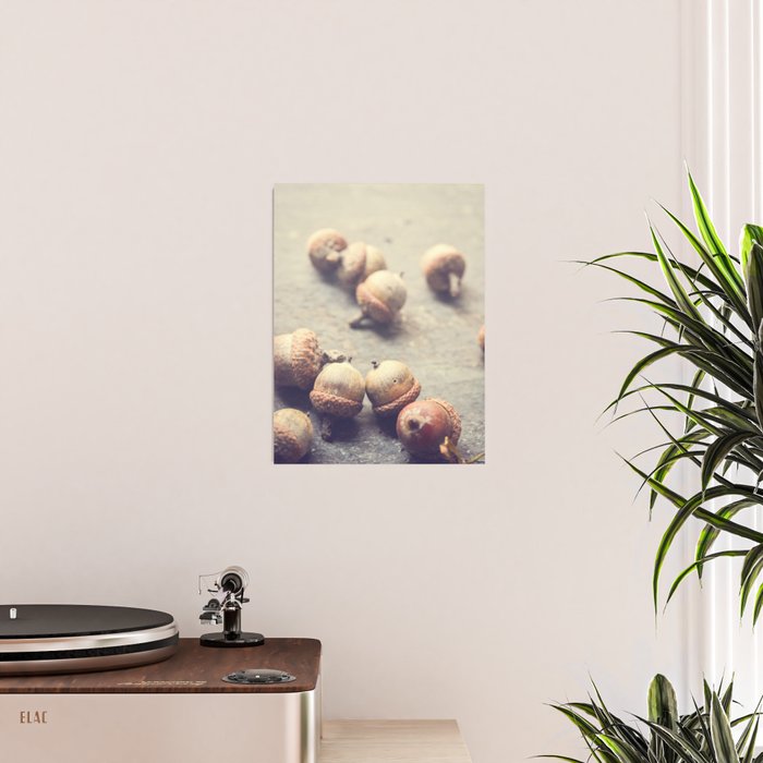 Autumn Acorns Poster Gallery Image 2