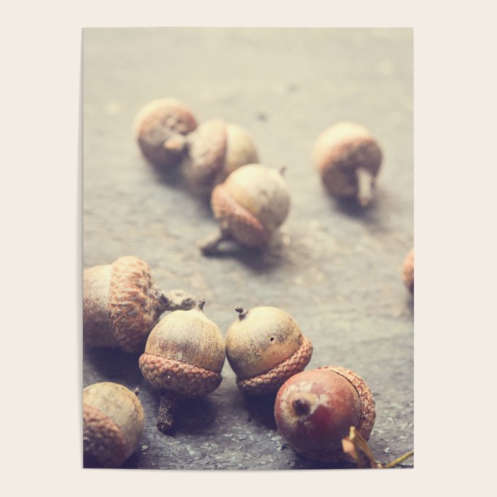 Autumn Acorns Poster Gallery Image 4