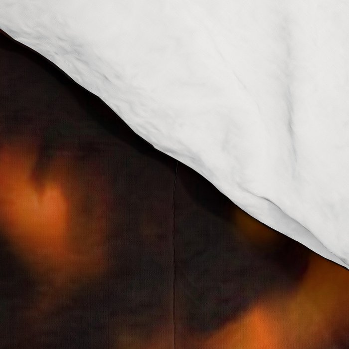 Tortoise Shell Pattern Comforter Gallery Image 4