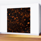 Tortoise Shell Pattern Wall Mural Gallery Image 2