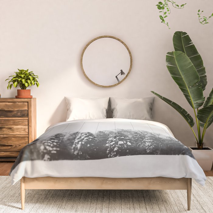 Pine Line Comforter Gallery Image 3