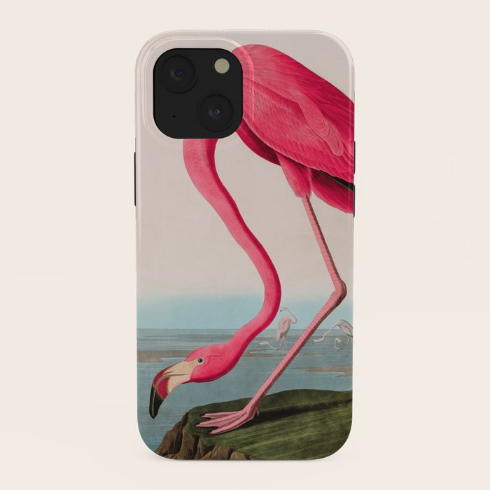 American Flamingo Birds of America Audubon Illustration Bird Lovers Gift iPhone Case Gallery Image 38