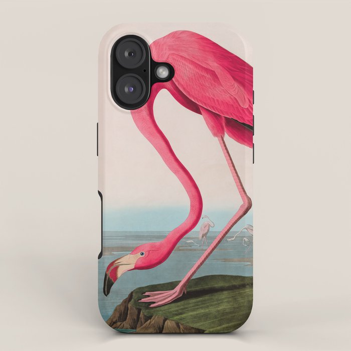 American Flamingo Birds of America Audubon Illustration Bird Lovers Gift iPhone Case Gallery Image 1
