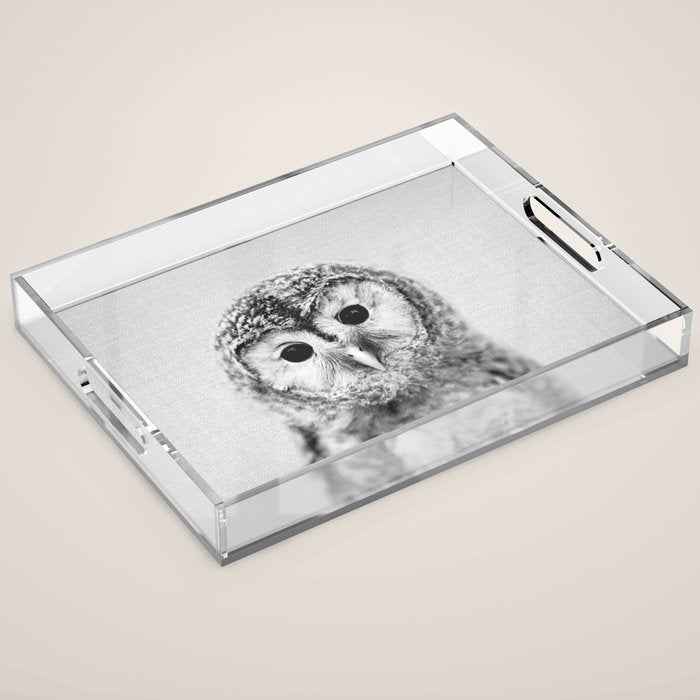 Baby Owl - Black & White Acrylic Tray Gallery Image 1