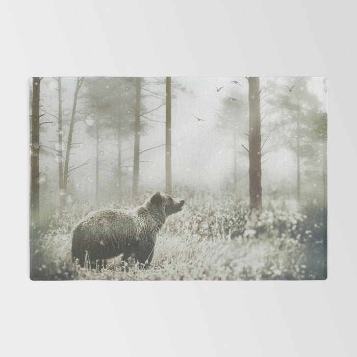 Encounter Rug Gallery Image 2