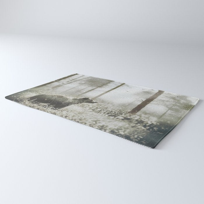 Encounter Rug Gallery Image 3