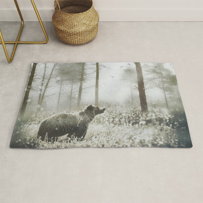 Encounter Rug Gallery Image 1