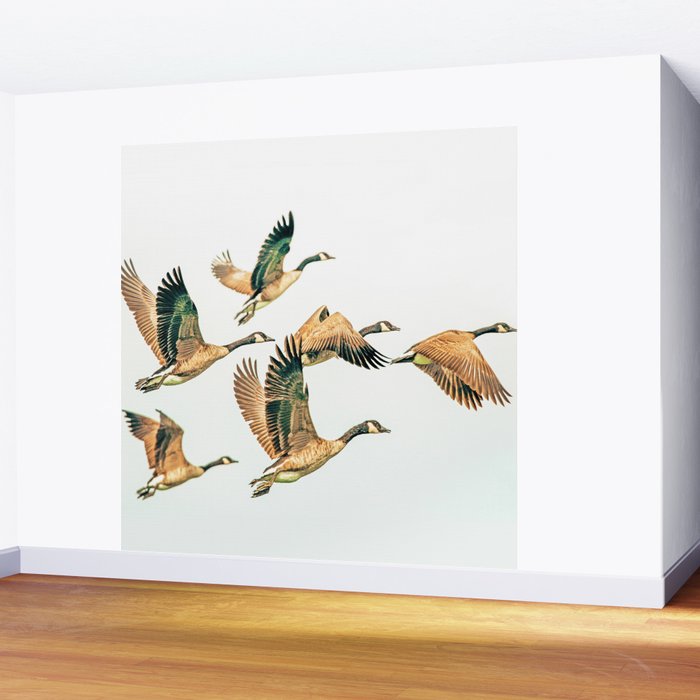 Fly Away || #photography #birds Wall Mural Gallery Image 2