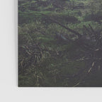 Through The Trees Poster Gallery Image 3