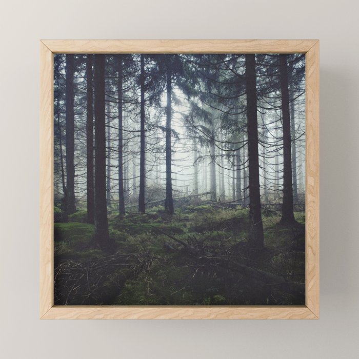 Through The Trees Mini Art Print