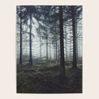 Through The Trees Poster Gallery Image 4