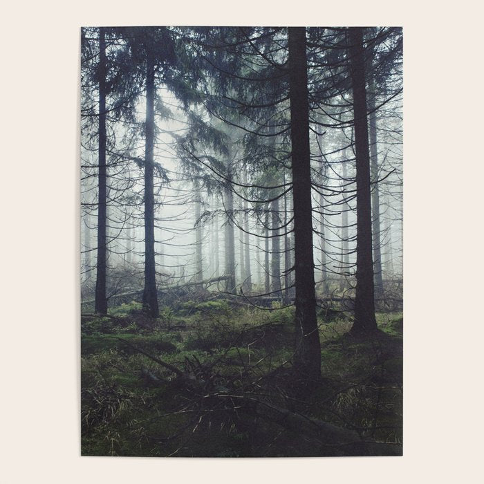 Through The Trees Poster Gallery Image 4